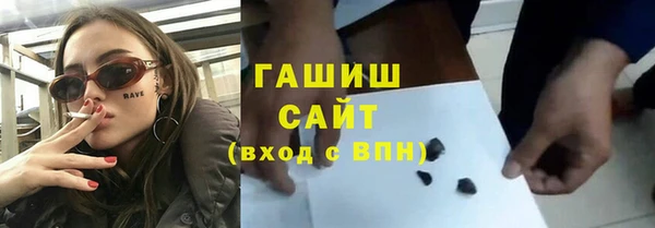 гашик Алексин