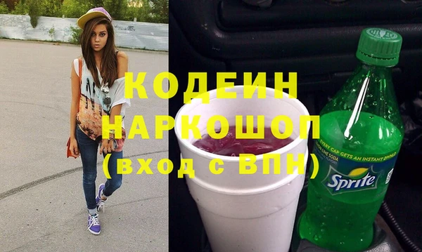 гашик Алексин
