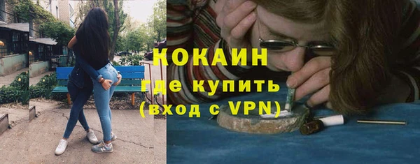 гашик Алексин
