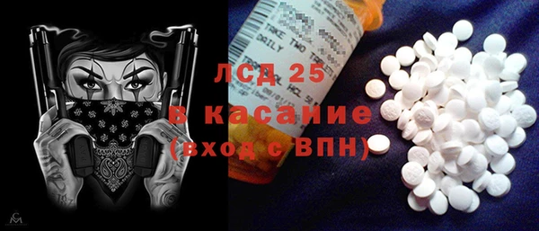 гашик Алексин