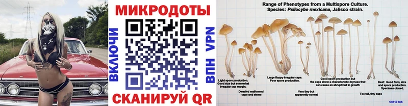 Псилоцибиновые грибы GOLDEN TEACHER  МЕГА маркетплейс  Усолье-Сибирское 
